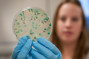 Interested in careers in biotechnology and pharmaceutical industry? Click to read more...