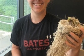 Emily Bechtold
