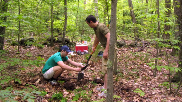 Effect of climate change on soil carbon storage in the rhizosphere Effect of climate change on soil carbon storage in the rhizosphere